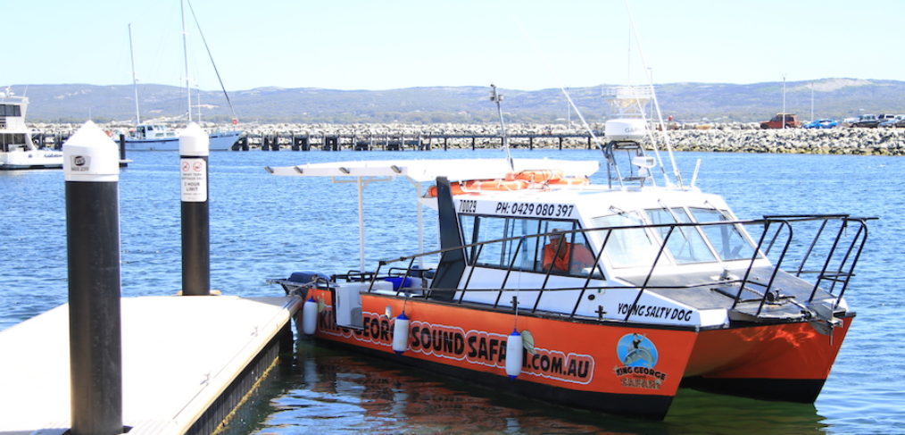 Mark on the Young Salty Dog