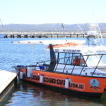 Mark on the Young Salty Dog